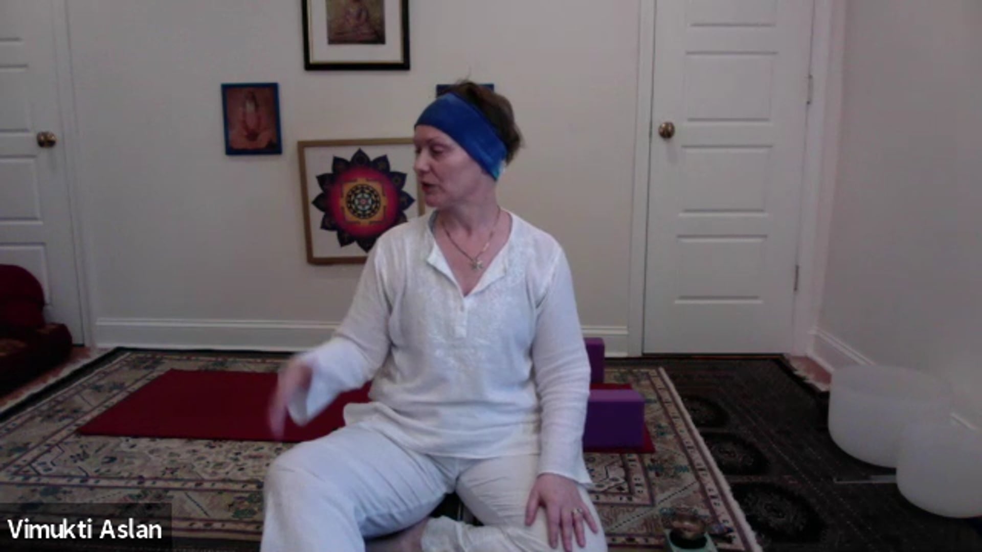 Exploring Options for Peace: Integral Hatha Yoga with Vimukti Aslan