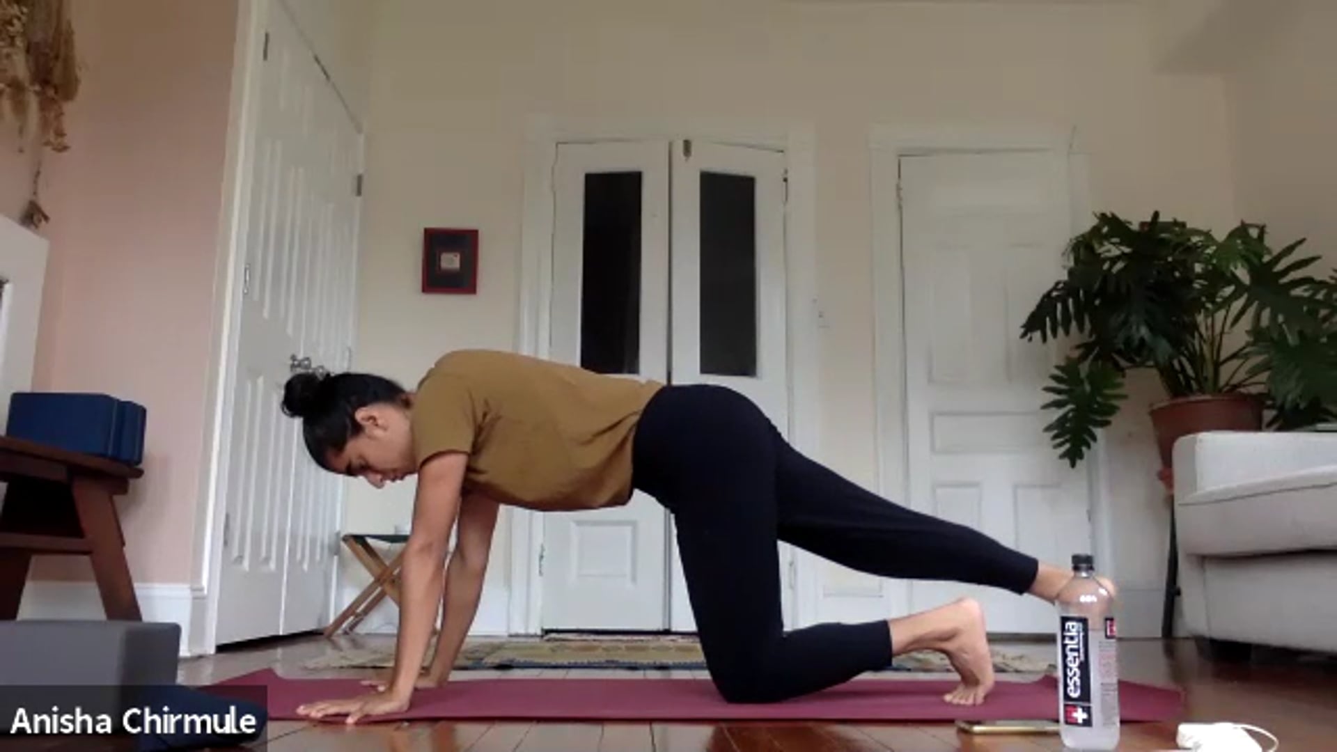 The Beauty in Eclipses: Align & Explore with Anisha Chirmule