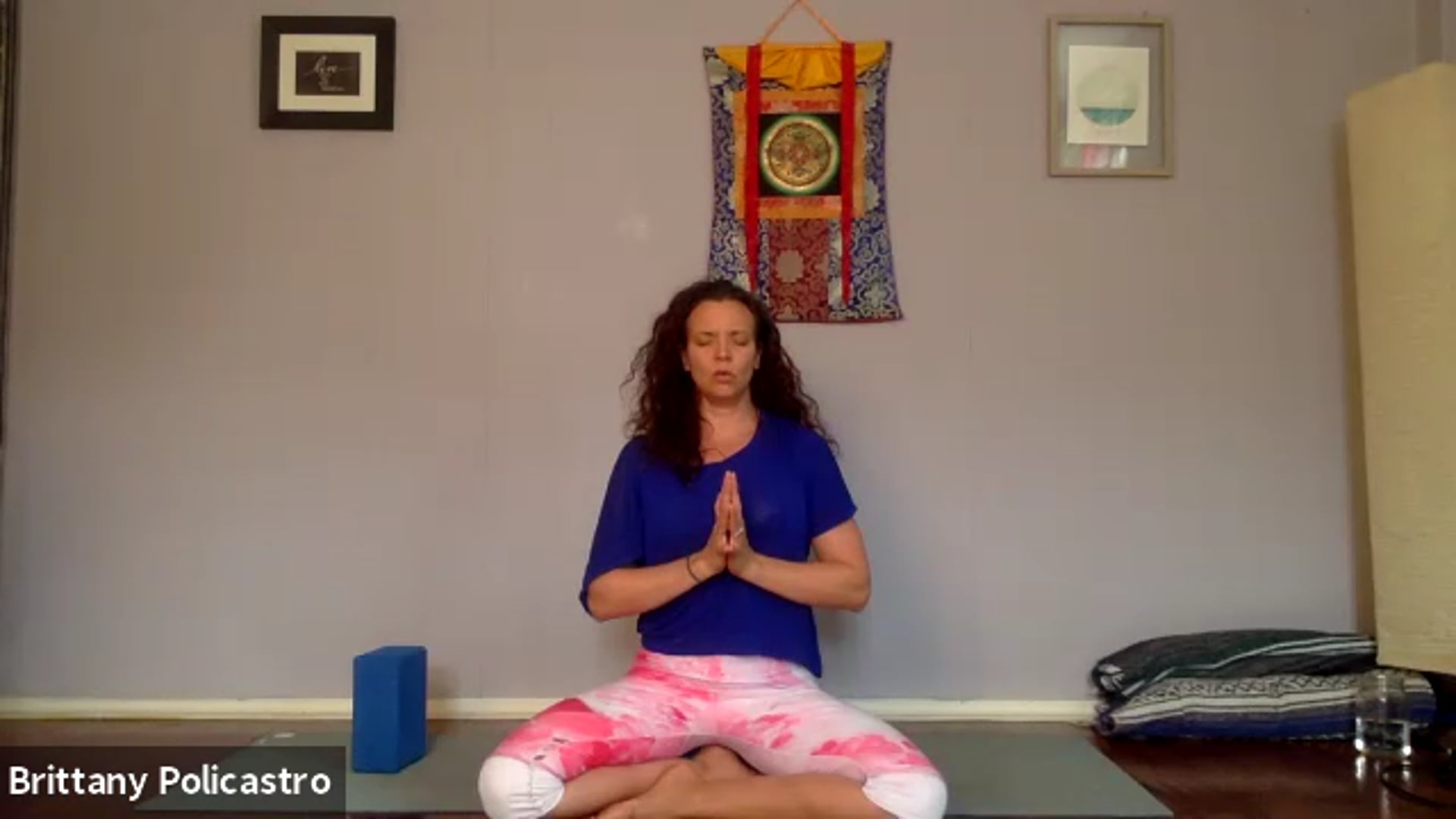 Being in Ease: Grounded Vinyasa Flow with Brittany Policastro