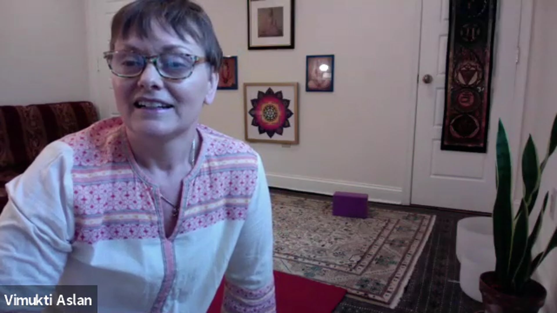 Integral Yoga Basics: Integral Hatha Yoga with Vimukti Aslan 