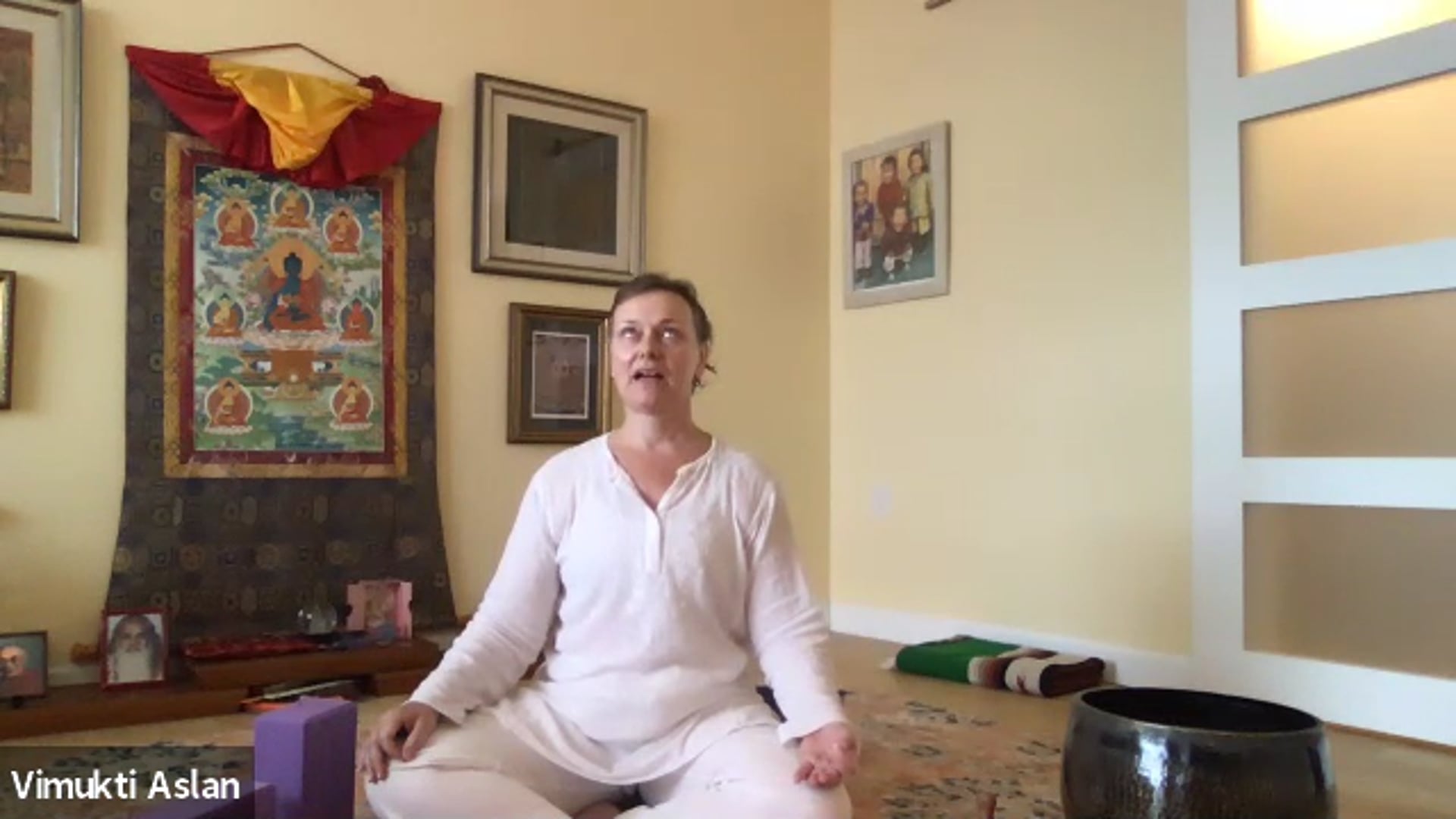 The Loving Practice: Integral Yoga with Vimukti Aslan