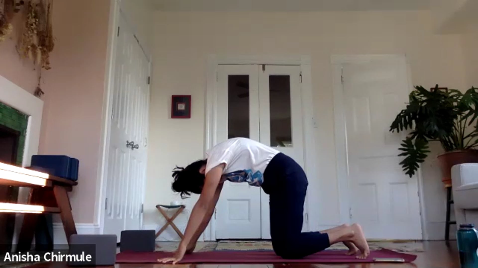 Strengthening & Tennis Ball Work: Align & Explore with Anisha Chirmule