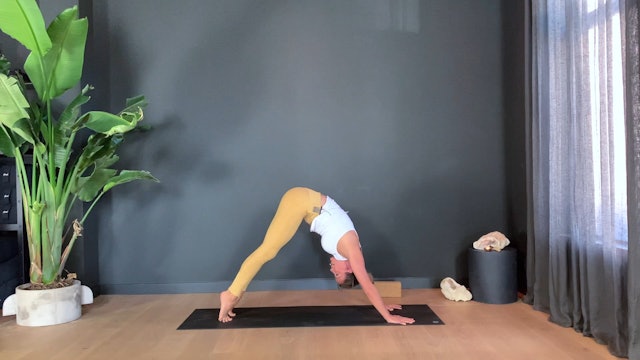 Vinyasa Flow w/ Philine for flexibility and (core) strength | 35 minutes