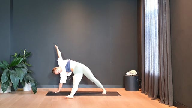 Week 2 Vinyasa flow w/ Ashley for the arms and legs