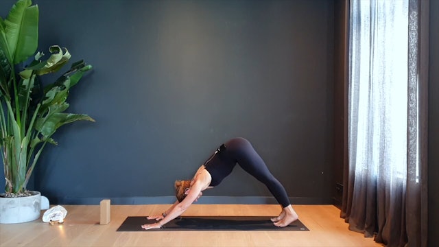 Vinyasa Flow w/ Judith for the side body |  35 minutes