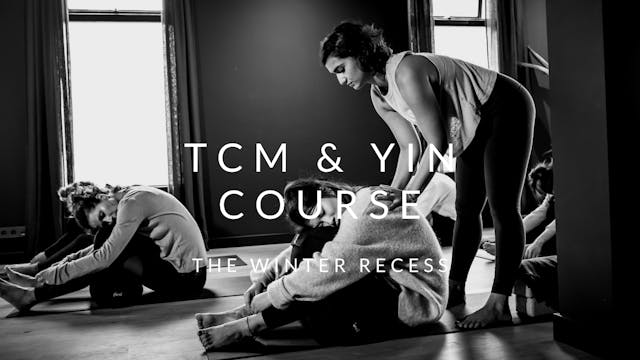 TCM & Yin Course - The Winter Recess