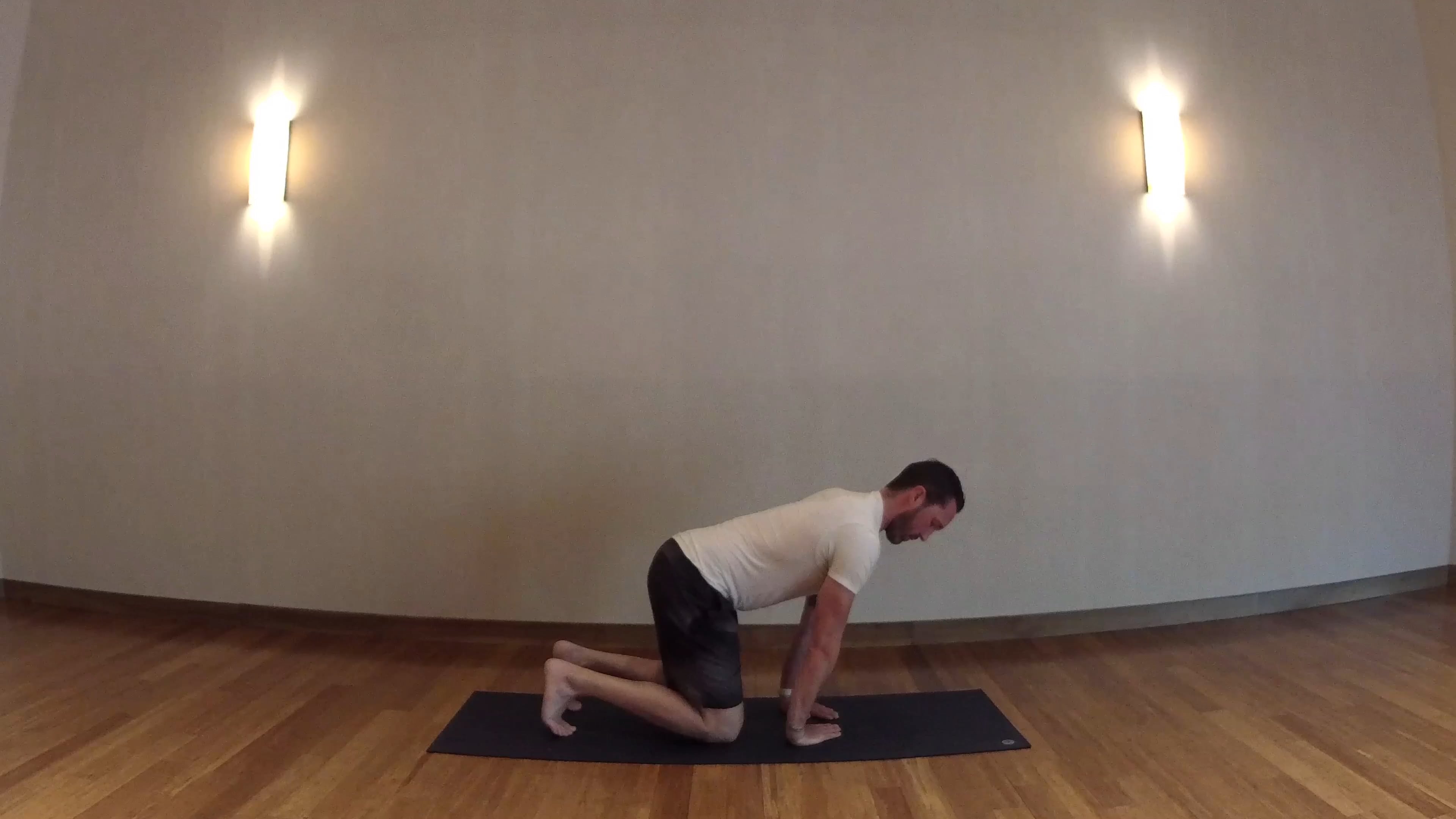 Flexors of wrist and forearms