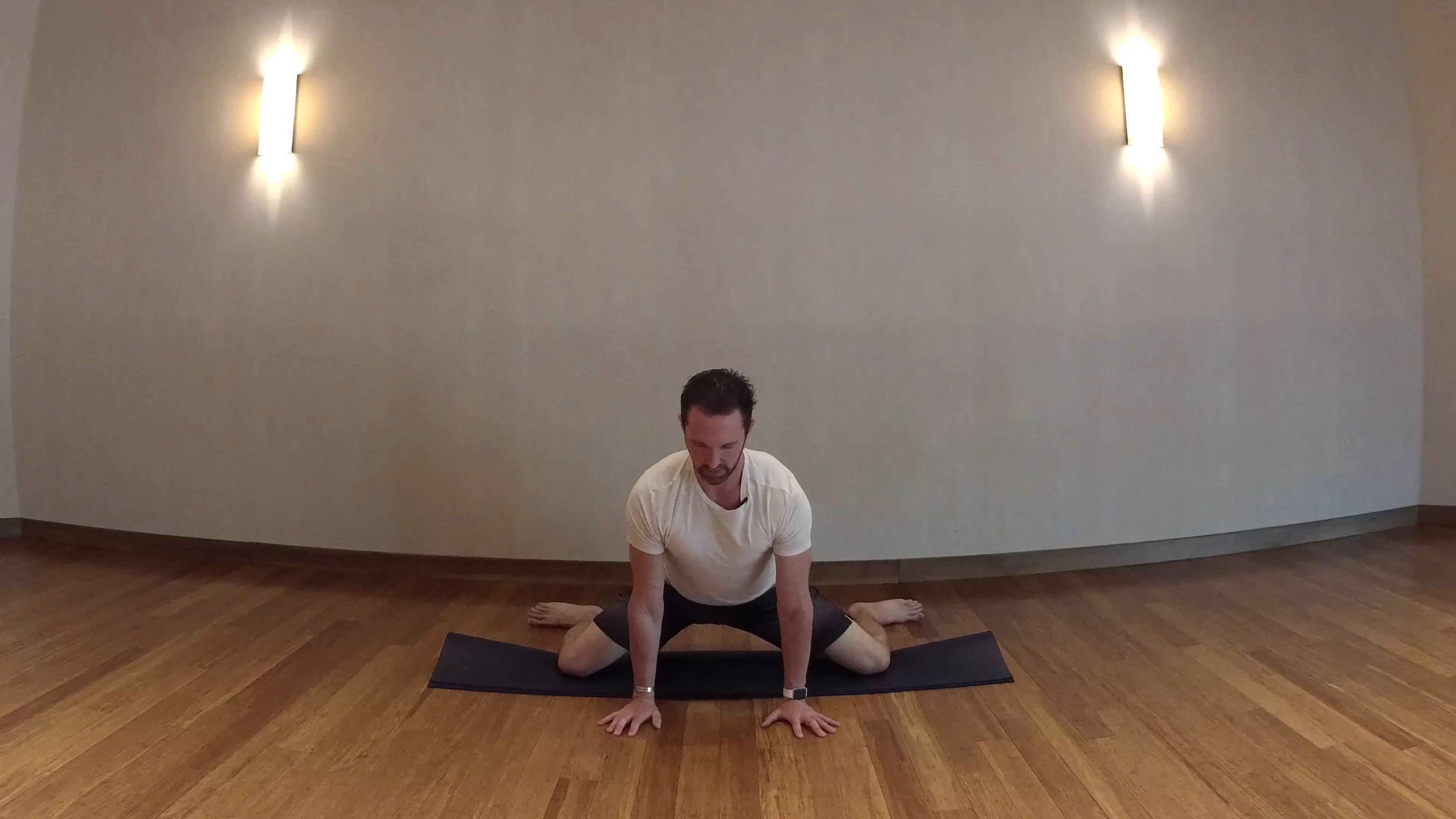 Adductor Brevis series