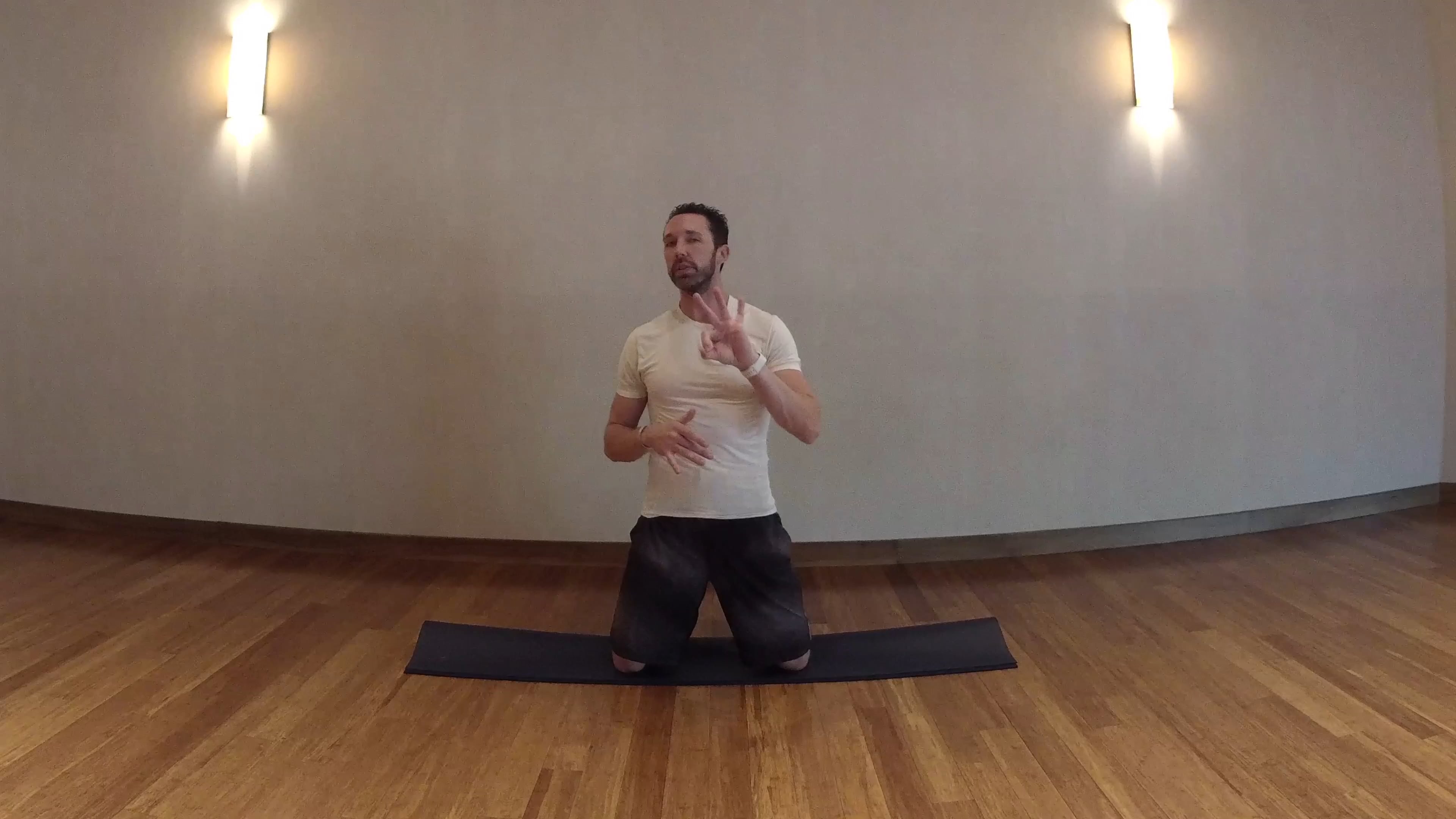 Adductor Magnus series