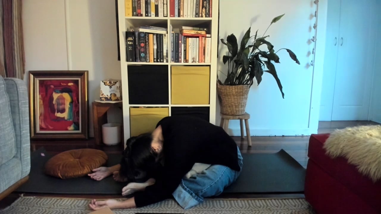 Studio Occupancy. Video