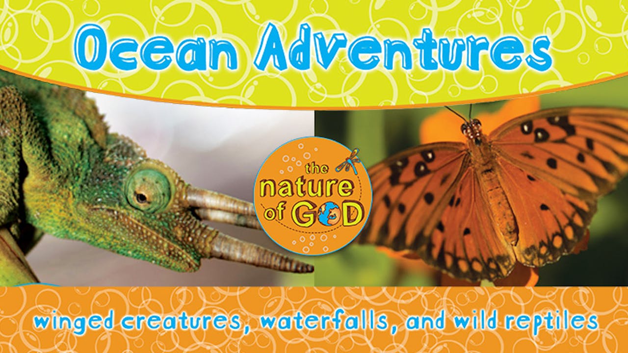 The Nature of God: Ocean Adventures, Vol. 3