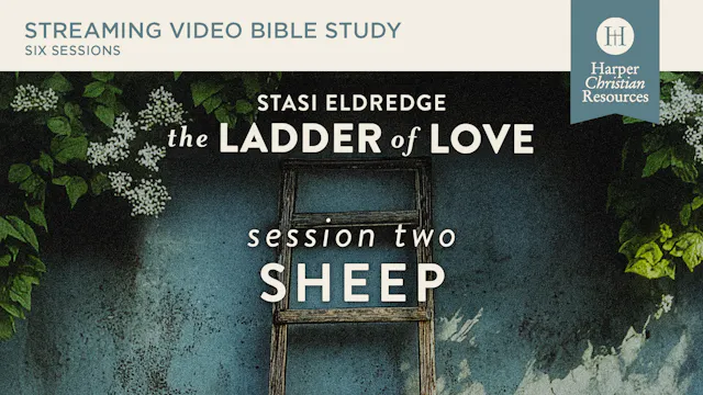S2: Sheep (The Ladder of Love)