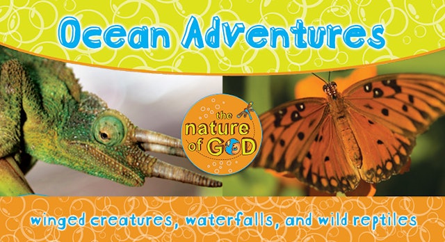 The Nature of God: Ocean Adventures, Vol. 3 - Winged Creatures, Waterfalls