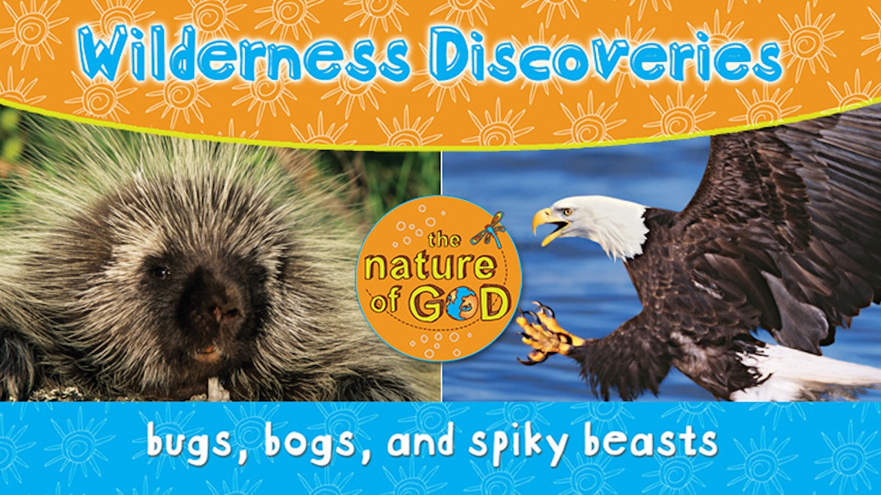 The Nature of God: Wilderness Discoveries, Vol. 3 - Bugs, Bogs, and Spiky Beasts