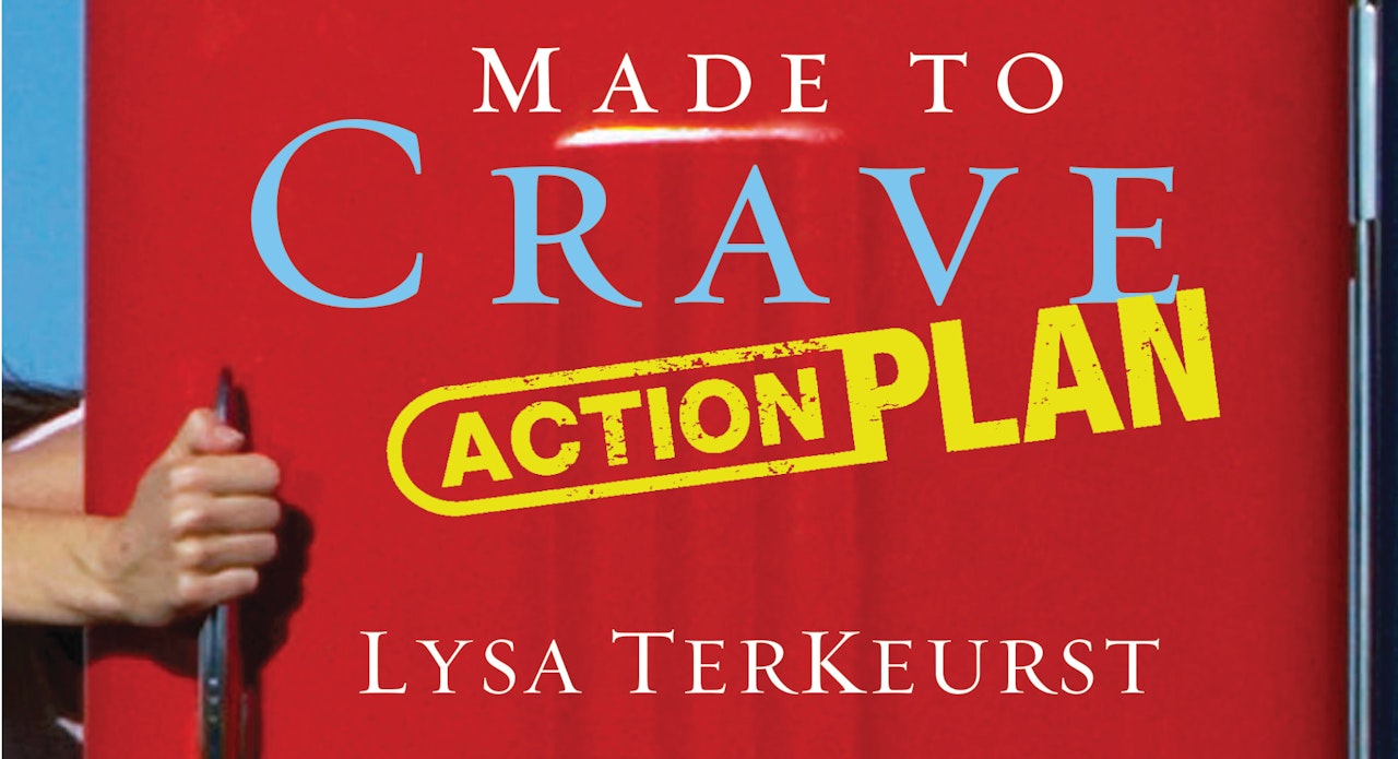 Made to Crave Action Plan (Lysa TerKeurst)