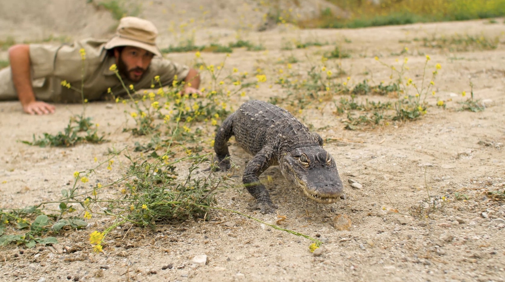 In the Beginning, Elementary  L4: I Can Trust God Even When Things are Tough