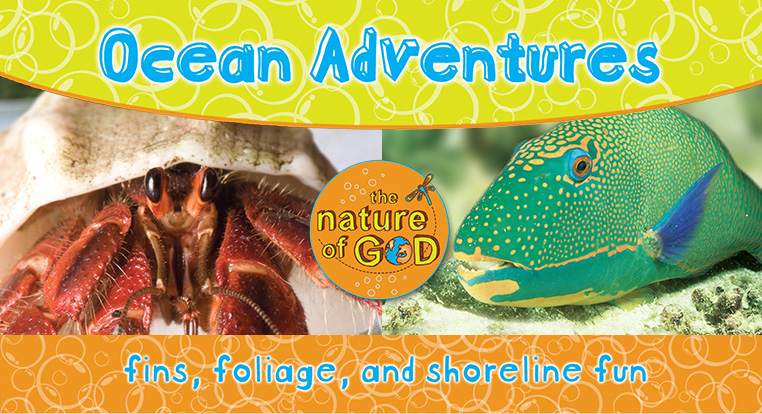 The Nature of God: Ocean Adventures, Vol. 2 - Fins, Foliage, and Shoreline Fun