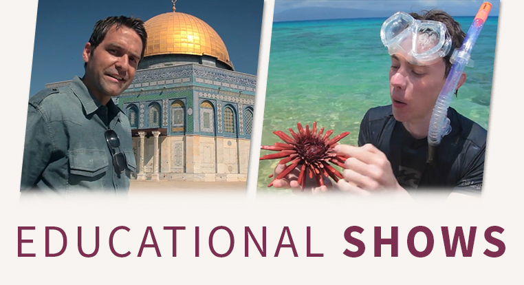 Children's Educational Shows