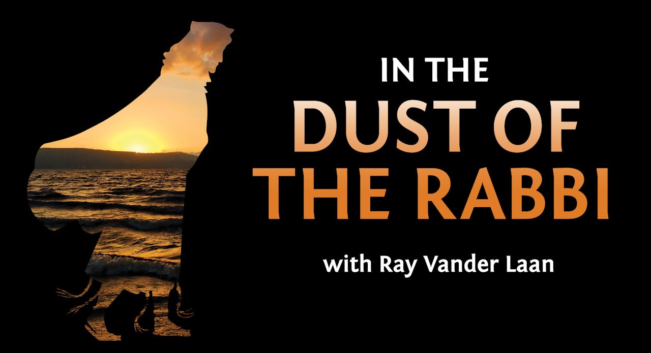 In The Dust Of The Rabbi