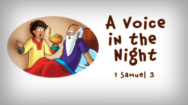 The Beginner's Bible Video Series, Story 29, A Voice in the Night