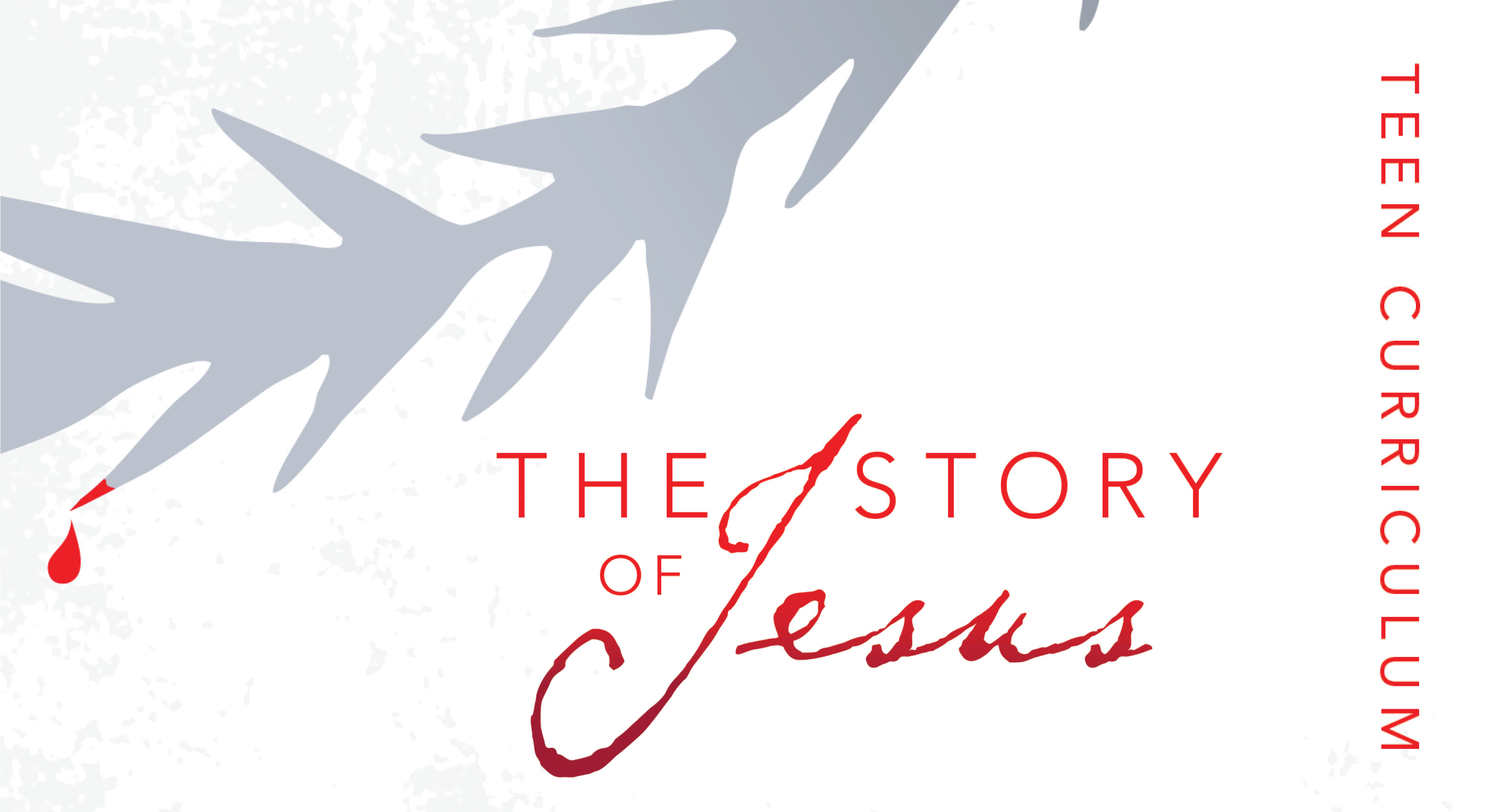 The Story of Jesus: Teen Curriculum