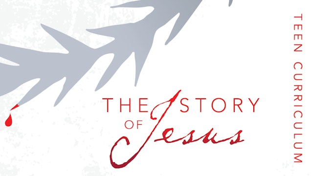 The Story of Jesus: Teen Curriculum