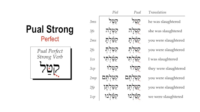 Basics of Biblical Hebrew Video Lectures, Session 28. The Pual Stem – Strong Verbs