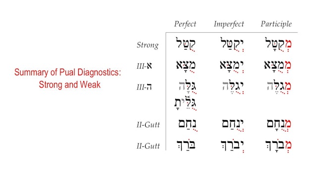 Basics of Biblical Hebrew Video Lectures, Session 29. The Pual Stem – Weak Verbs