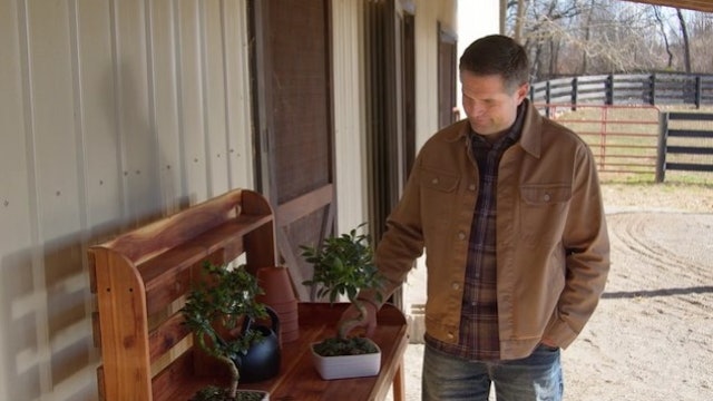 S4: The Purpose of Pruning (When Your Way Isn't Working)