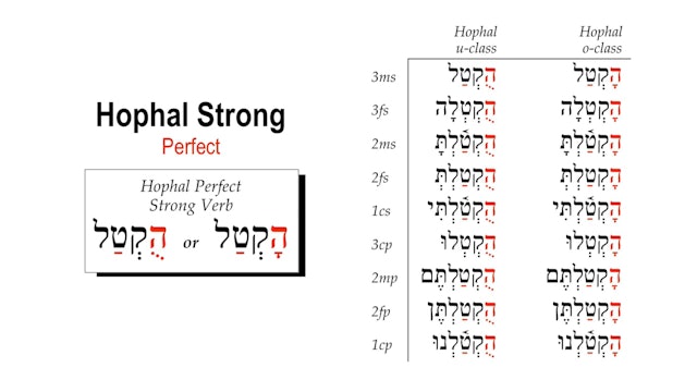 Basics of Biblical Hebrew Video Lectures, Session 32. The Hophal Stem – Strong Verbs