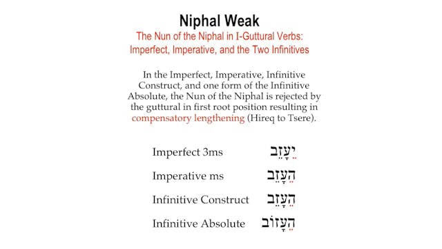 Basics of Biblical Hebrew Video Lectures, Session 25. The Niphal Stem – Weak Verbs
