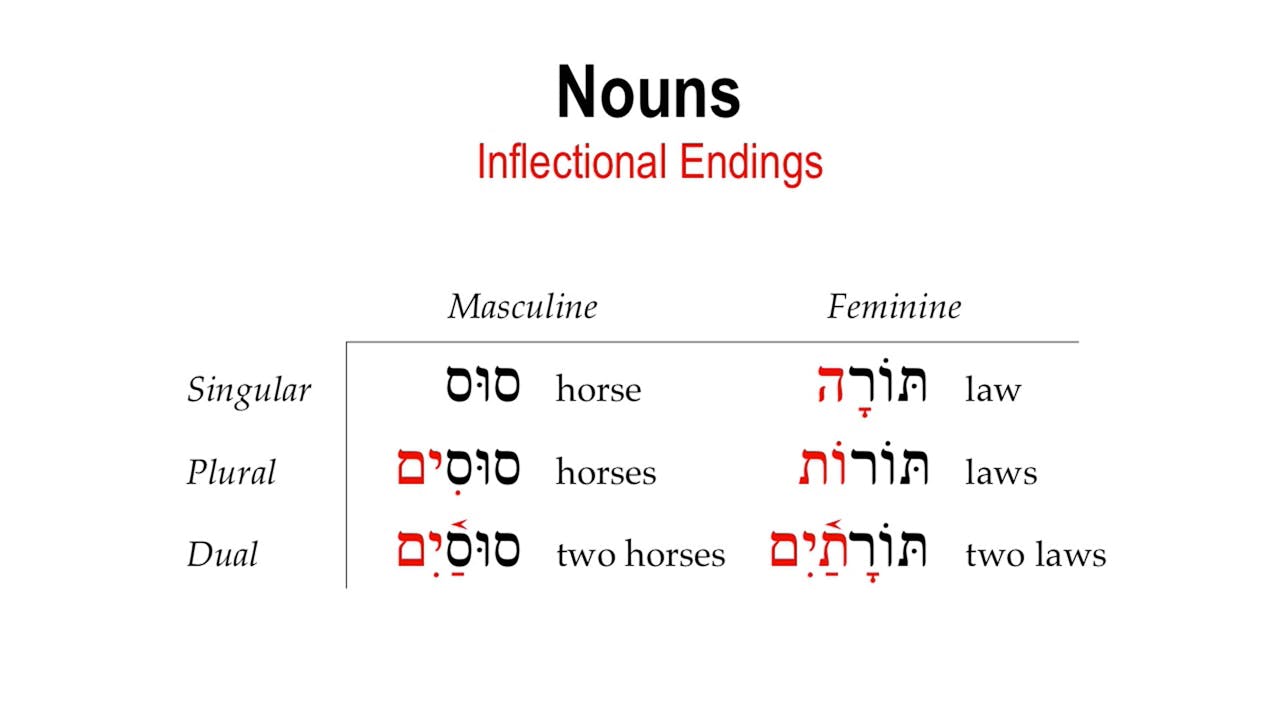 Basics of Biblical Hebrew Video Lectures, Session 4. Hebrew Nouns