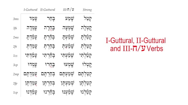Basics of Biblical Hebrew Video Lectures, Session 14. Qal Perfect – Weak Verbs