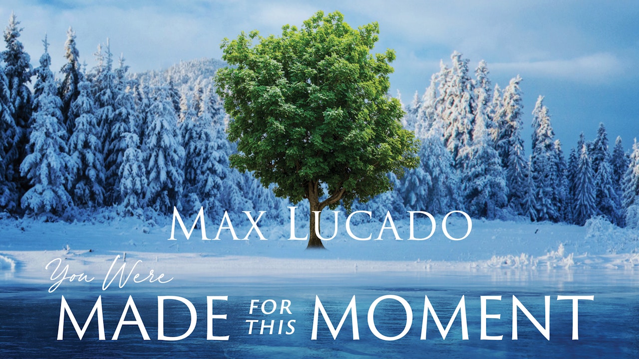You Were Made for This Moment (Max Lucado)