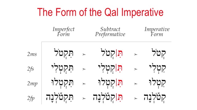 Basics of Biblical Hebrew Video Lectures, Session 18. Qal Imperative, Cohortative, and Jussive