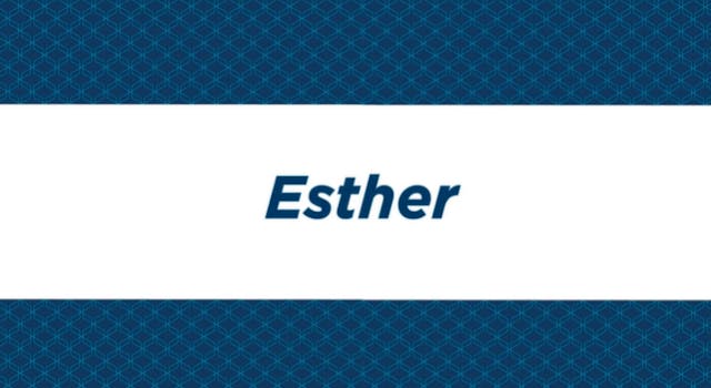 NIV Study Bible Intro - Esther