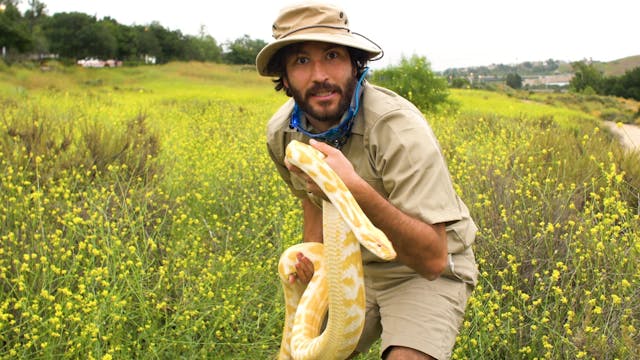 In the Beginning, Elementary  L2: I C...