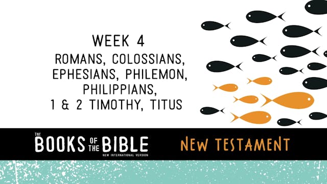 New Testament - Week 4 - Romans, Colossians, Ephesians, Philemon, Philippians, 1 & 2 Timothy, Titus