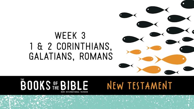 New Testament - Week 3 - 1 & 2 Corinthians, Galatians, Romans