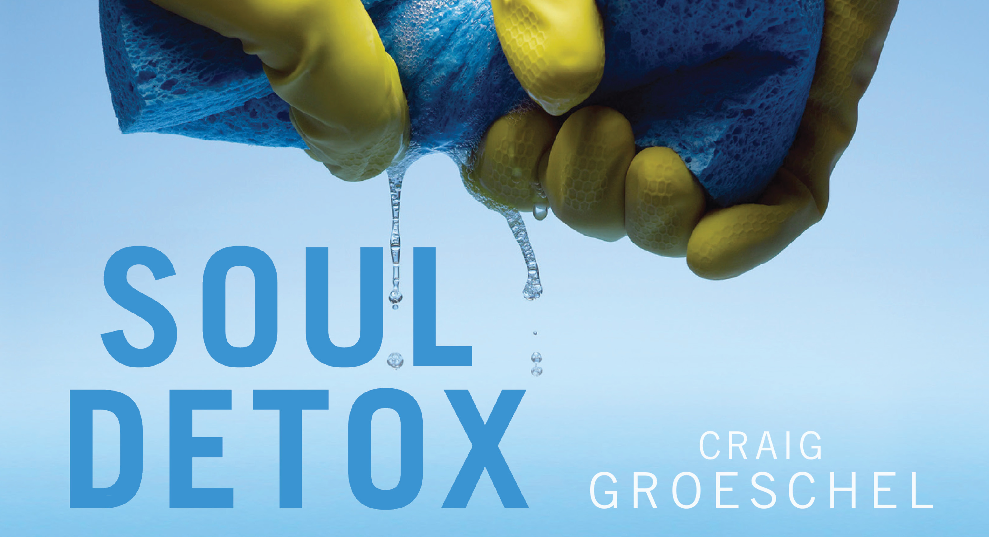 Soul Detox (Craig Groeschel)