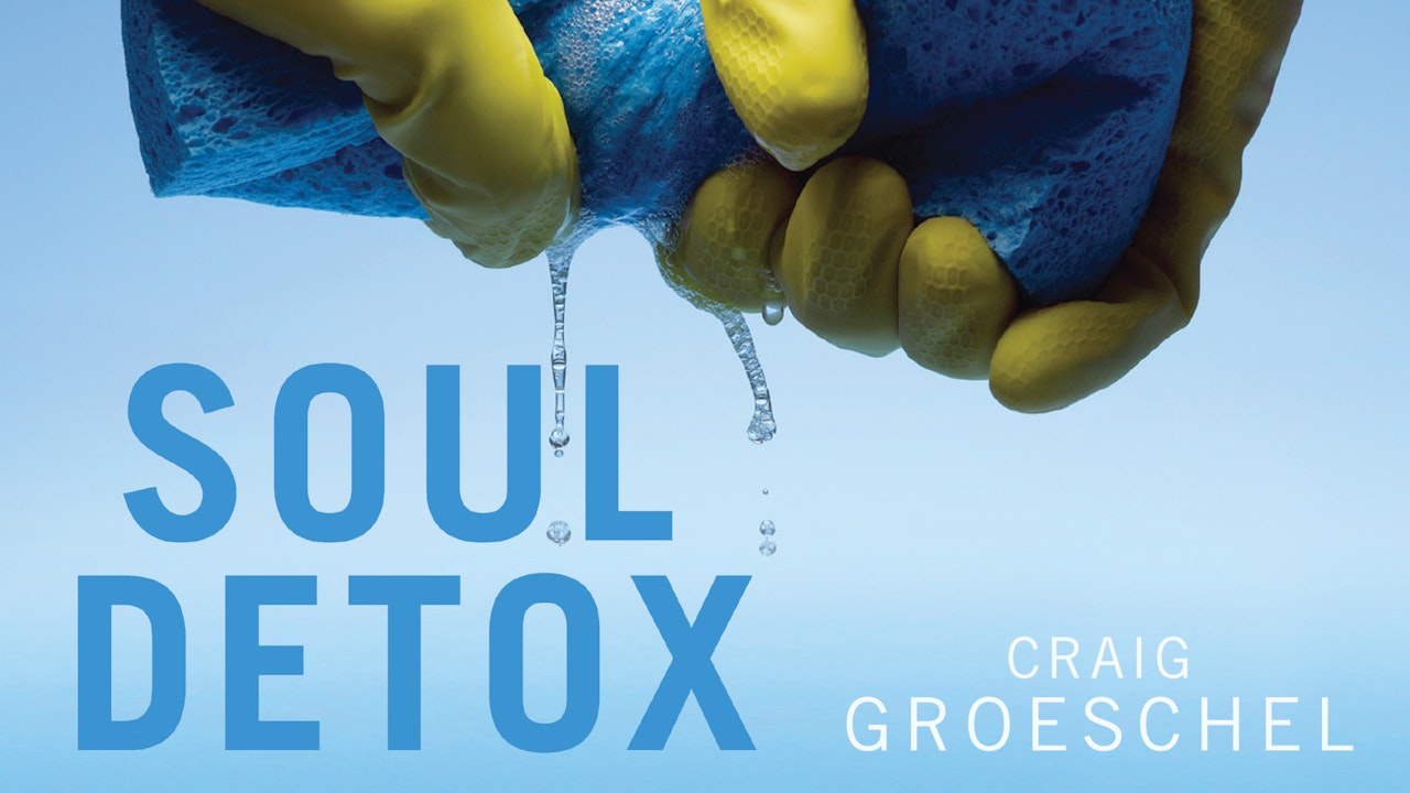 Soul Detox (Craig Groeschel)