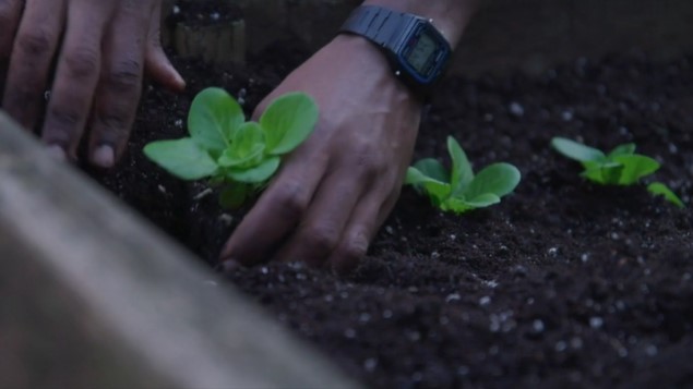 S1:God Dwells in the Dirt (Dirt)