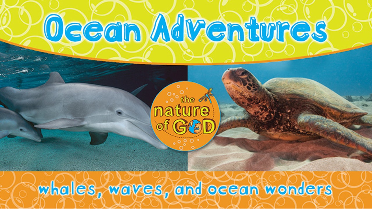 The Nature of God: Ocean Adventures, Vol. 1 - Whales, Waves, and Ocean Wonders