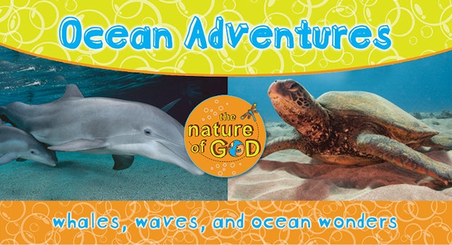 The Nature of God: Ocean Adventures, Vol. 1 - Whales, Waves, and Ocean Wonders
