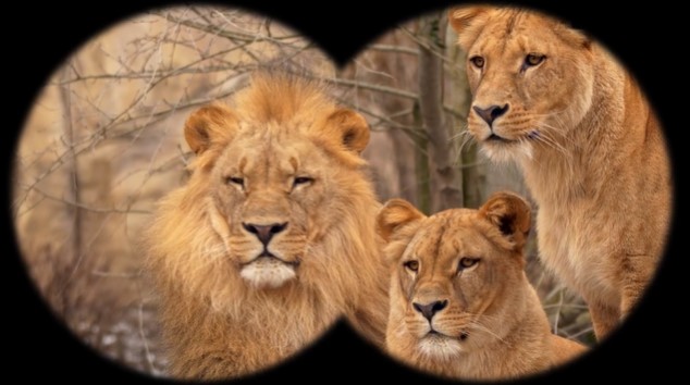 In the Beginning, Early Childhood  L4: I Can Trust God Even When Its Hard