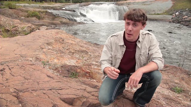 Wilderness Discoveries, Vol. 3 - Wetland Creatures