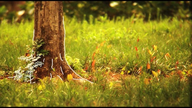 Five Things God Uses to Grow Your Faith, Session 1. BIG Faith