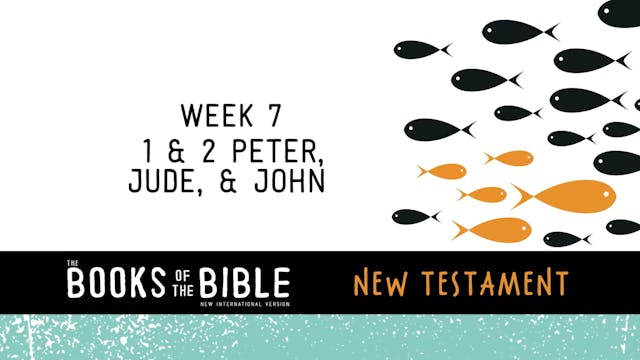 New Testament -  Week 7 - 1 & 2 Peter, Jude, & John