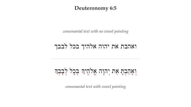 Basics of Biblical Hebrew Video Lectu...