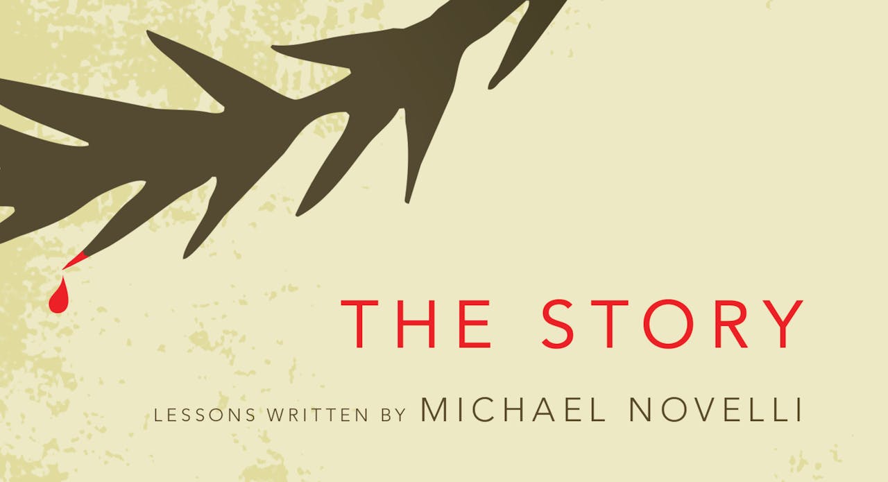 The Story (Teen Curriculum)